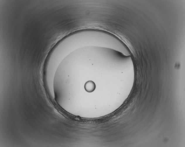 X0000116620485201001081235