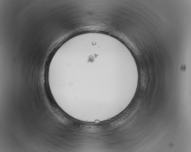 X0000116620486201001081235