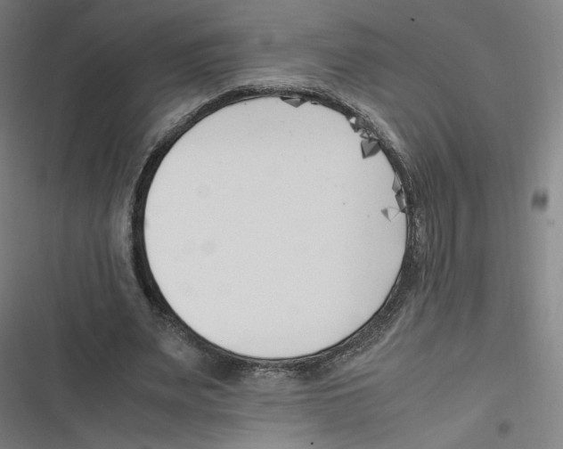 X0000116620487201001081235