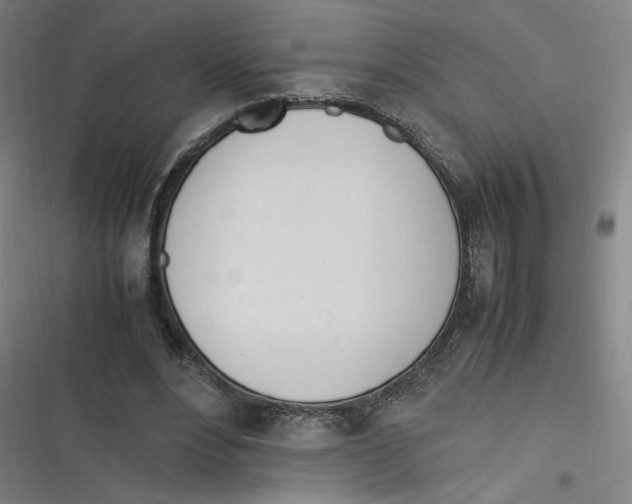 X0000116620488201001081235