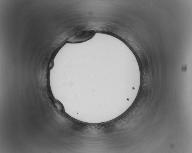 X0000116620489201001081235