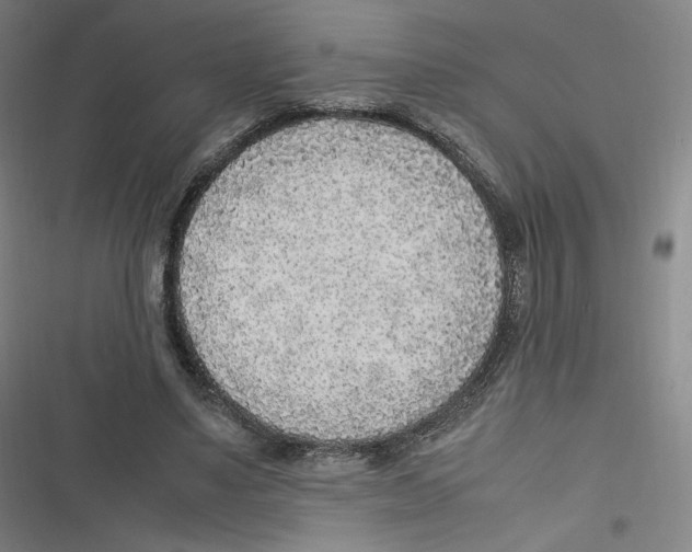 X0000116620491201001081235