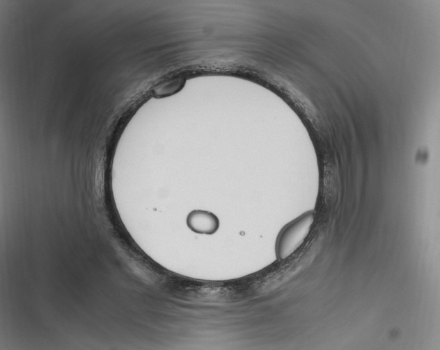 X0000116620493201001081235