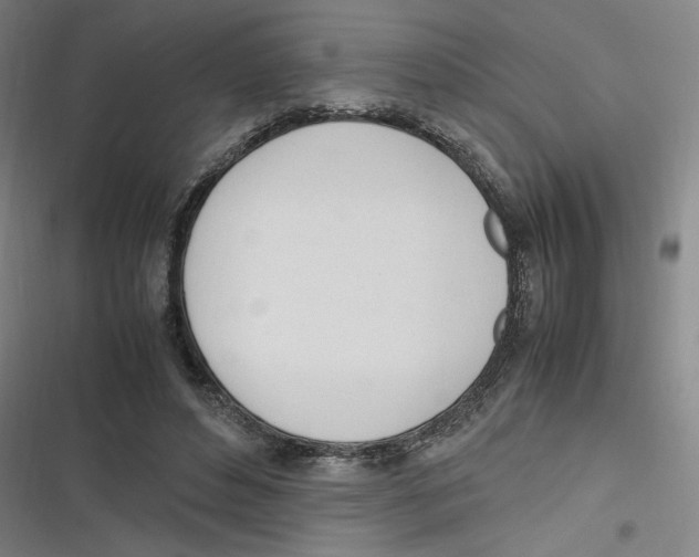 X0000116620496201001081235