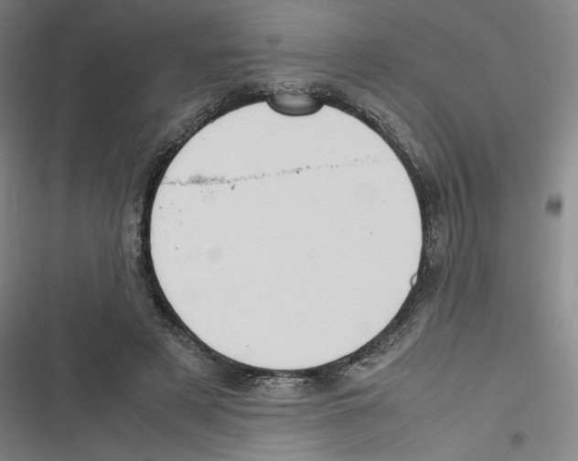 X0000116620497201001081234