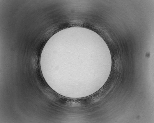 X0000116620498201001081234