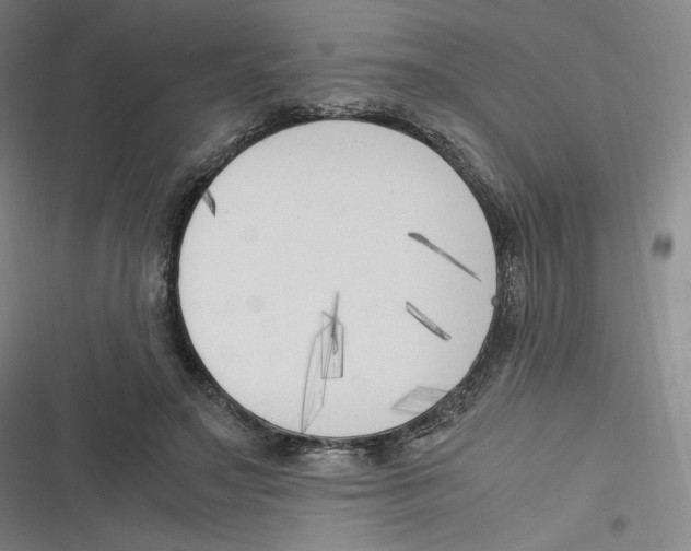 X0000116620499201001081234