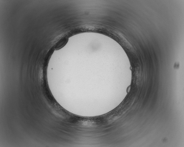 X0000116620500201001081234