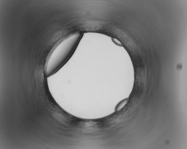 X0000116620501201001081234