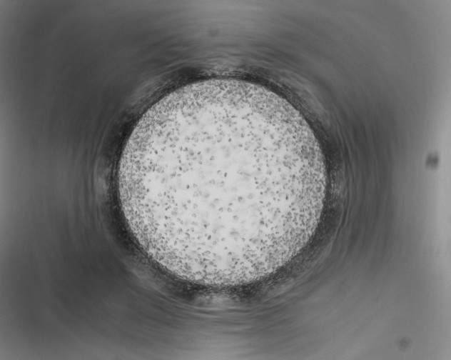 X0000116620503201001081234