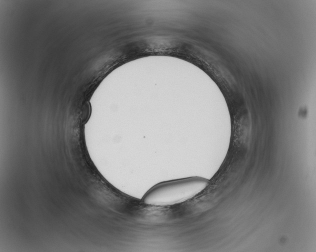 X0000116620505201001081234