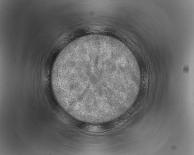 X0000116620507201001081234