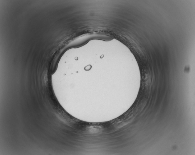 X0000116620508201001081234