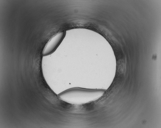 X0000116620509201001081234