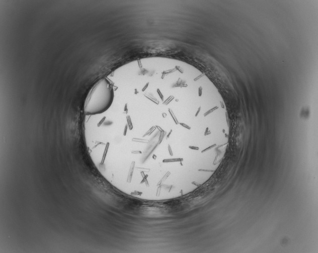 X0000116620510201001081234