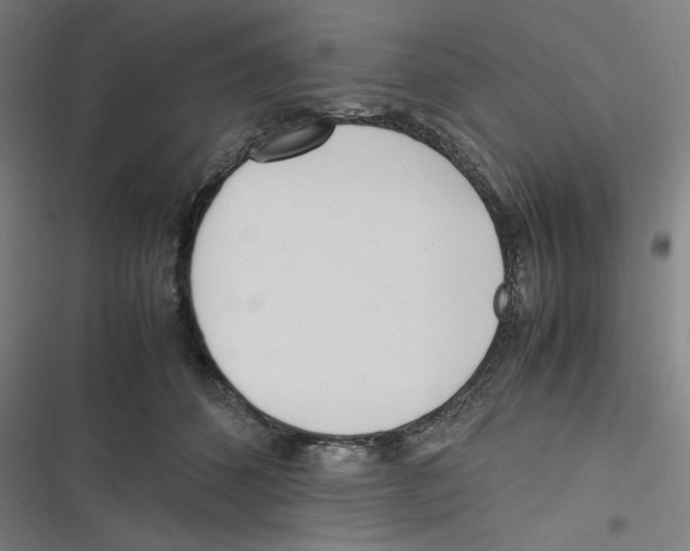 X0000116620512201001081234