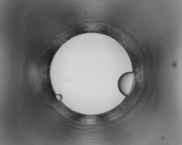 X0000116620514201001081234