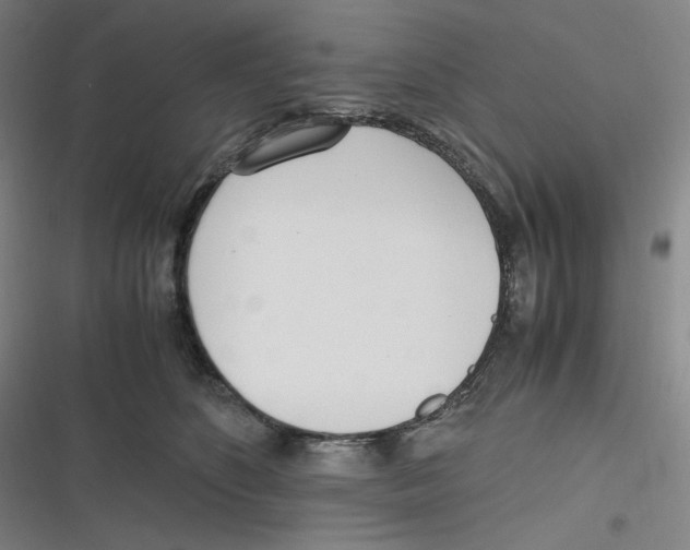 X0000116620516201001081234