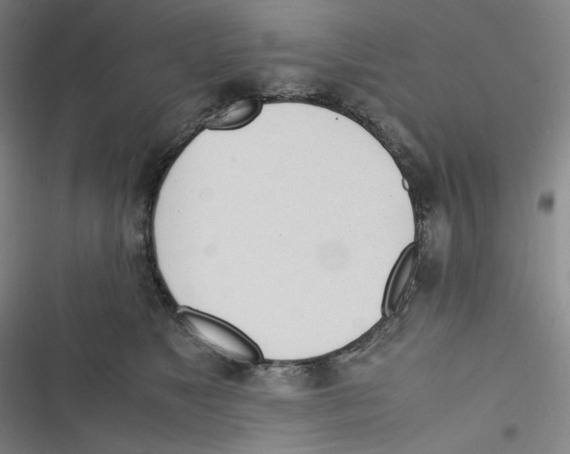 X0000116620517201001081234