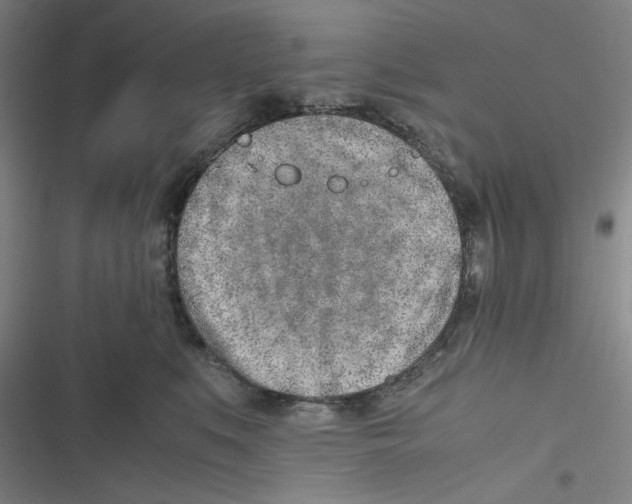 X0000116620519201001081234