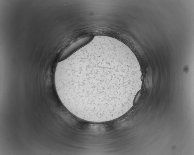 X0000116620520201001081234