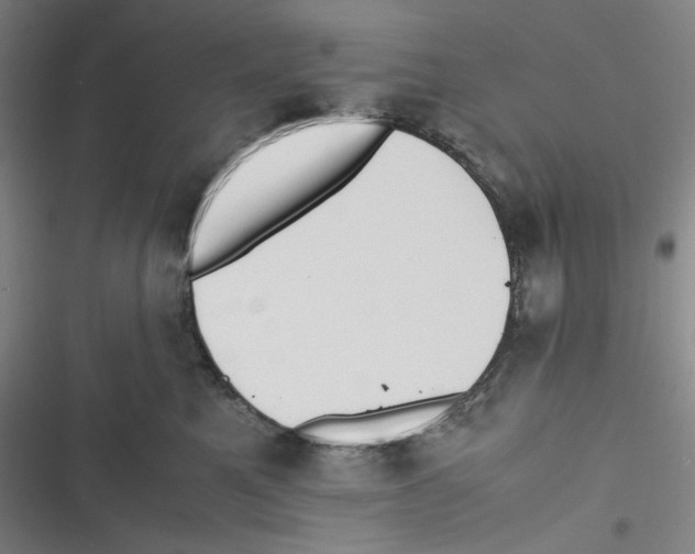 X0000116620521201001081234