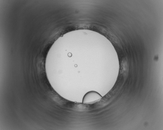 X0000116620522201001081234