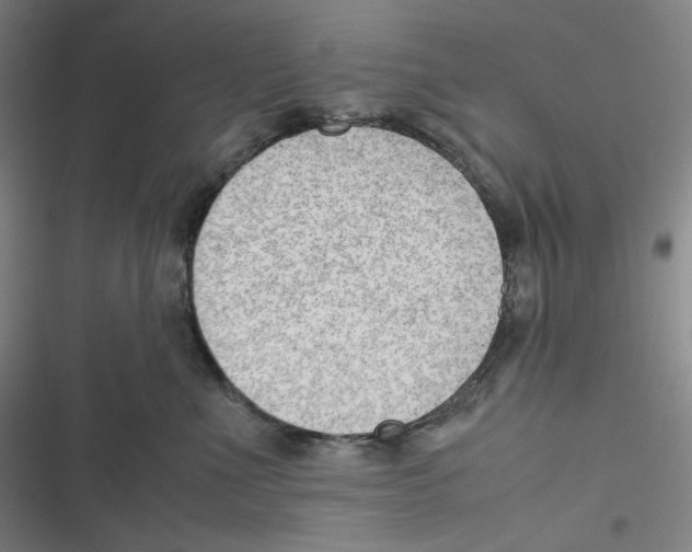 X0000116620523201001081234