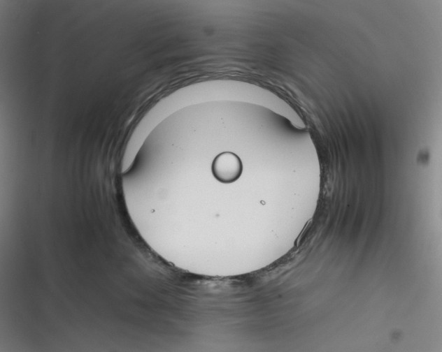 X0000116620524201001081234