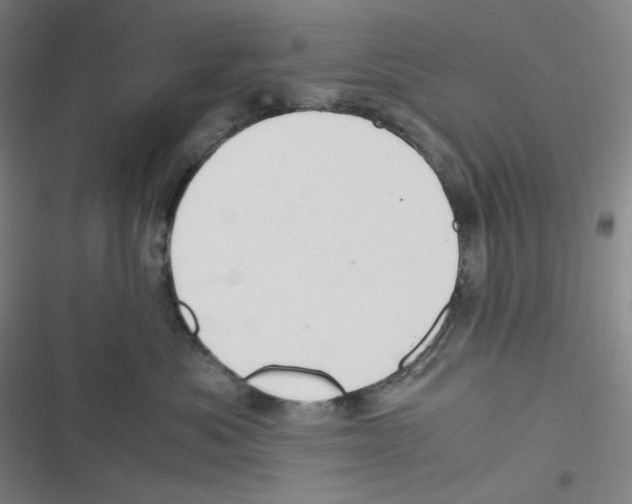 X0000116620525201001081234