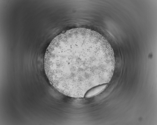 X0000116620527201001081234