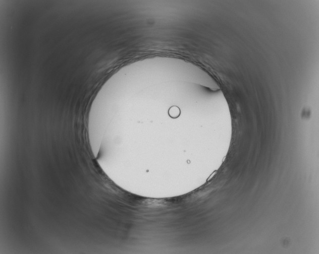 X0000116620528201001081234