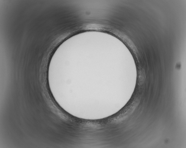 X0000116620529201001081233