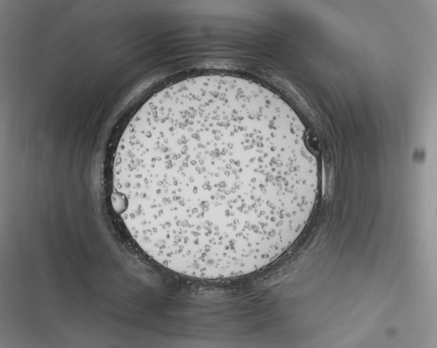 X0000116620531201001081233