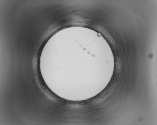 X0000116620533201001081233