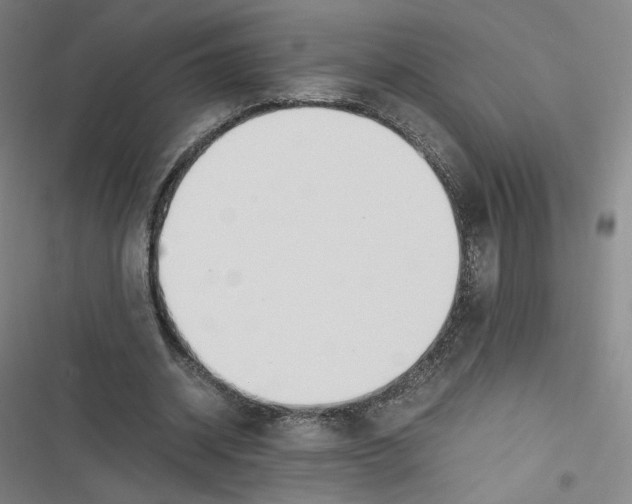 X0000116620534201001081233