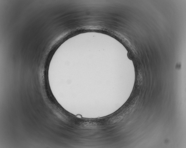 X0000116620535201001081233