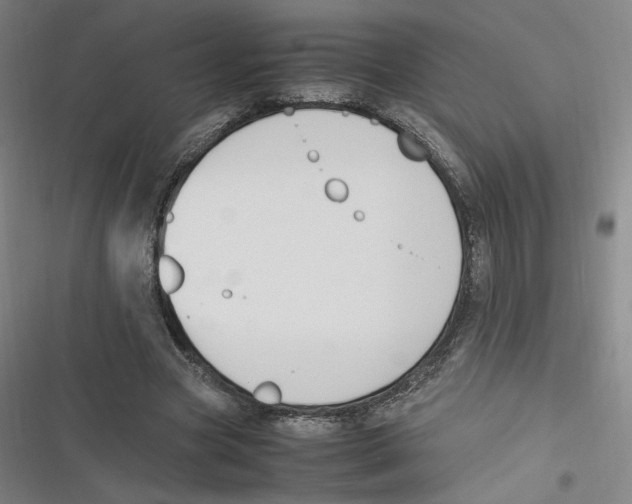 X0000116620537201001081234