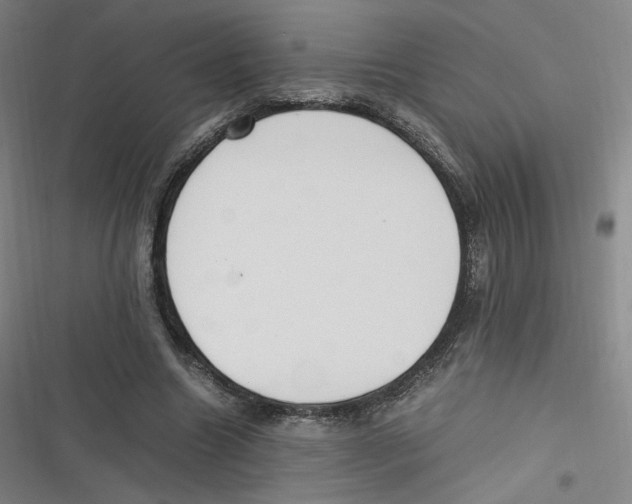 X0000116620538201001081234