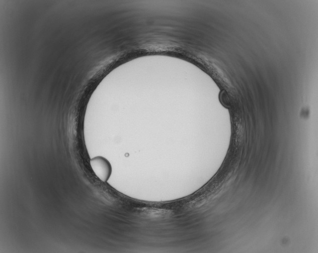 X0000116620539201001081234