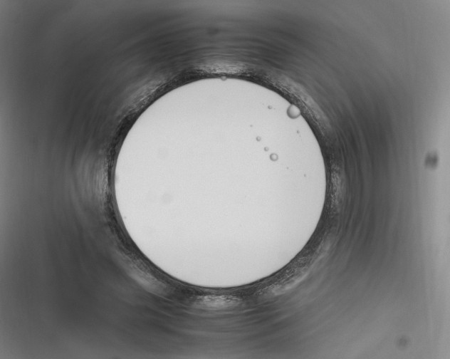 X0000116620541201001081234