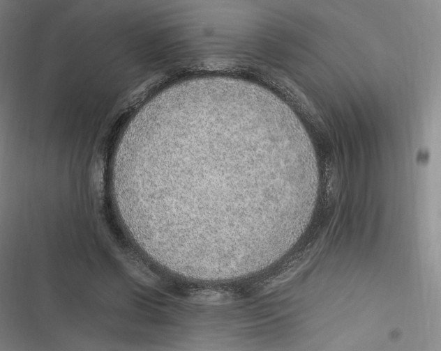 X0000116620542201001081234