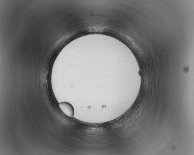 X0000116620543201001081234