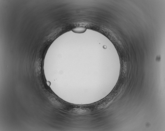 X0000116620545201001081234