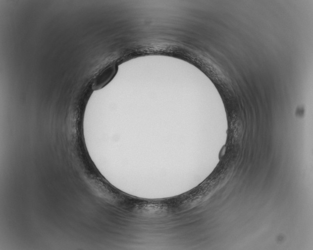 X0000116620546201001081234