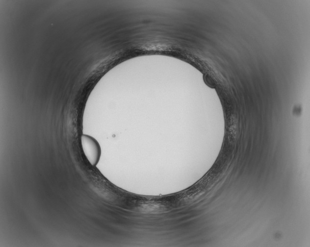 X0000116620547201001081234