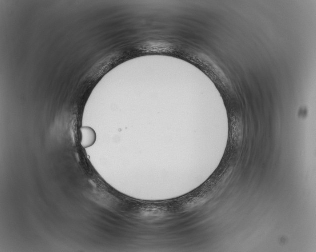 X0000116620549201001081234