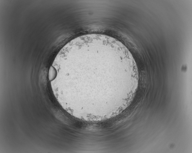 X0000116620550201001081234