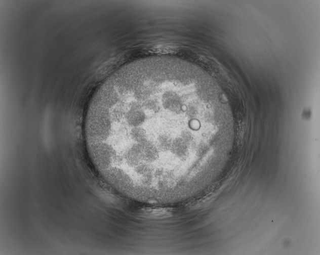 X0000116620553201001081234