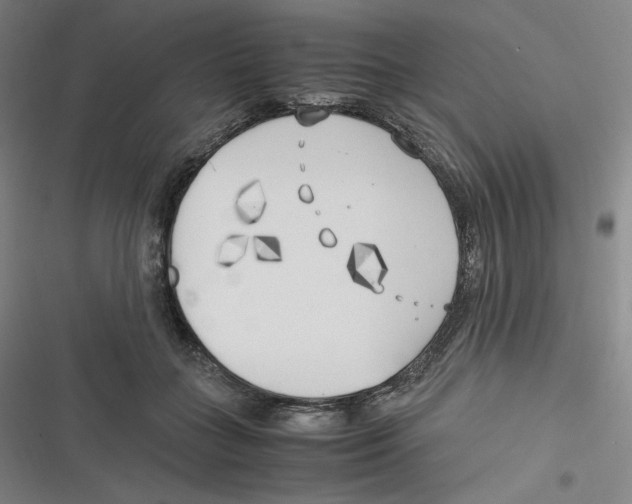 X0000116620555201001081234